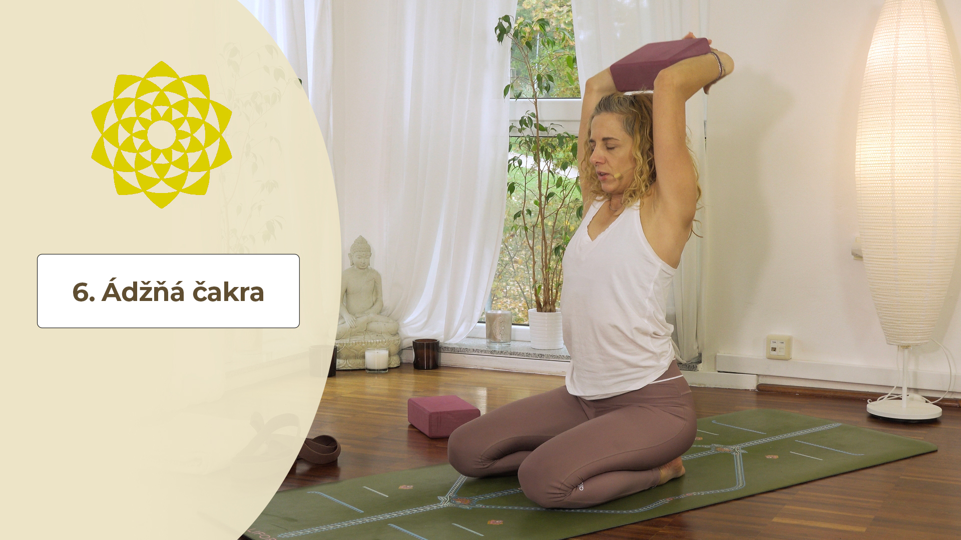 6. Ádžňá čakra
