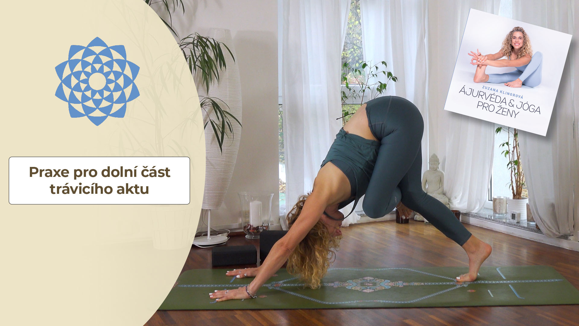 PRAXE PRO PROBLÉMY DOLNÍ ČÁSTI TRÁVICÍHO TRAKTU , tlusté střevo