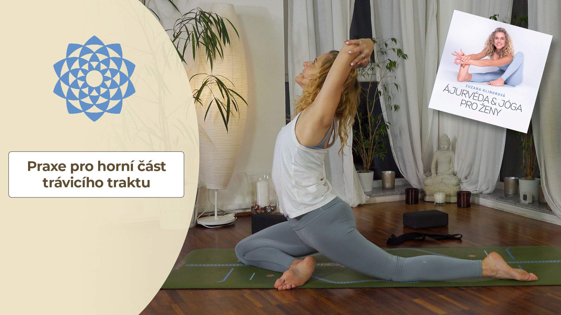 PRAXE PRO PROBLÉMY HORNÍ ČÁSTI TRÁVICÍHO TRAKTU, nerovnováh elementů oheň a vzduch