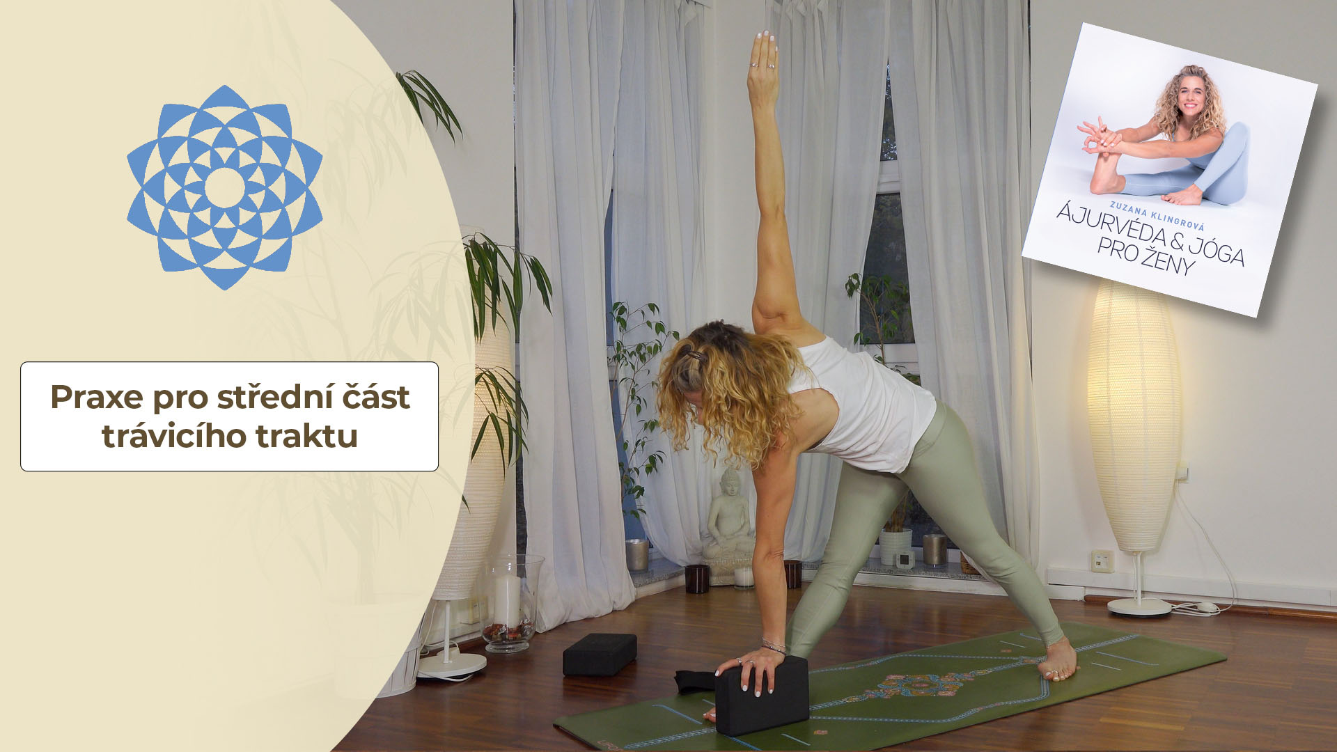 PRAXE PRO PROBLÉMY STŘEDNÍ ČÁSTI TRÁVICÍHO TRAKTU , játra, slinivka, tenké střevo