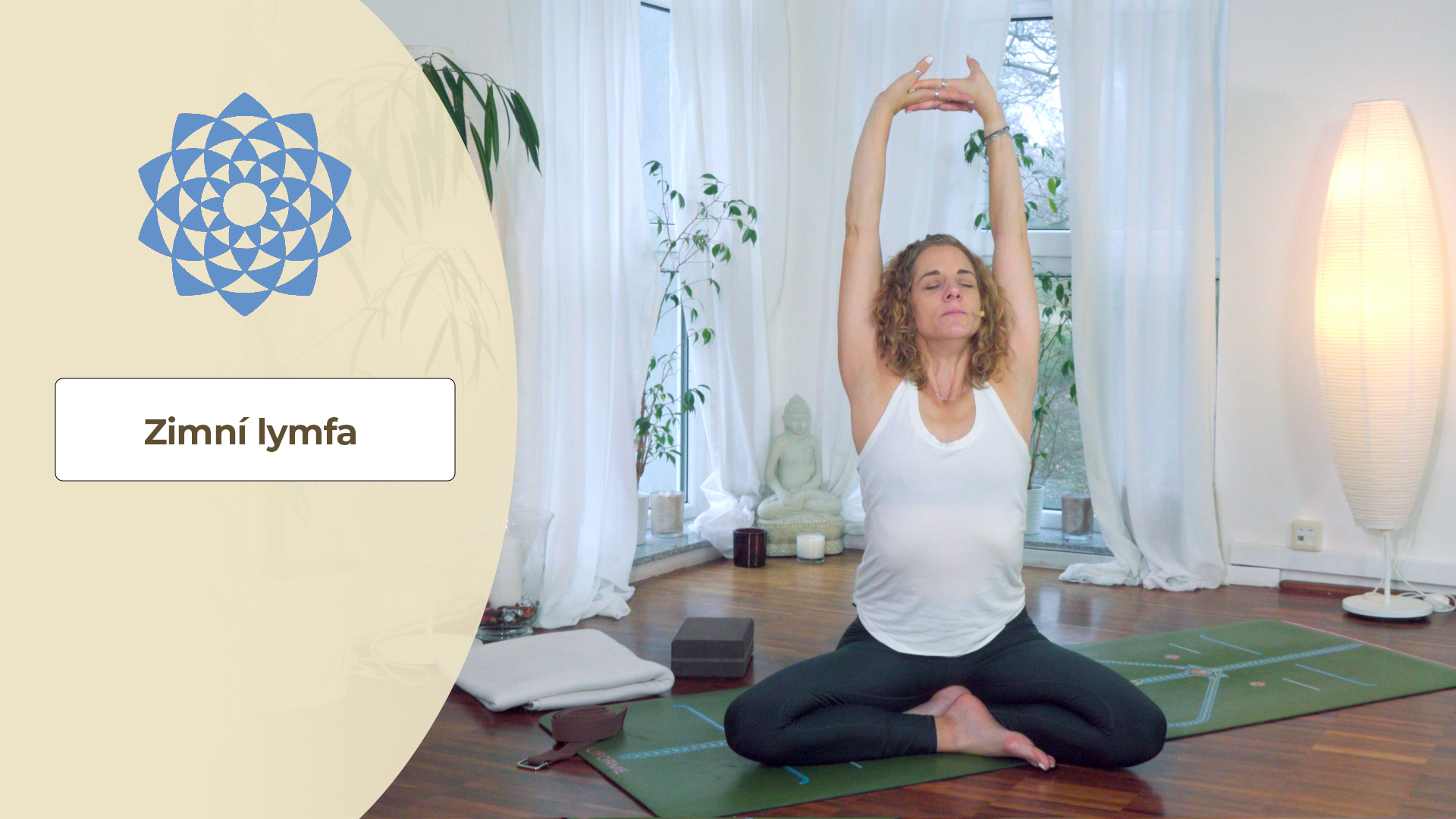 Zimní lymfa Zimní lymfa