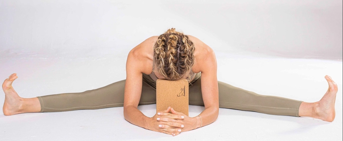 Záznam online lekce leden 2026