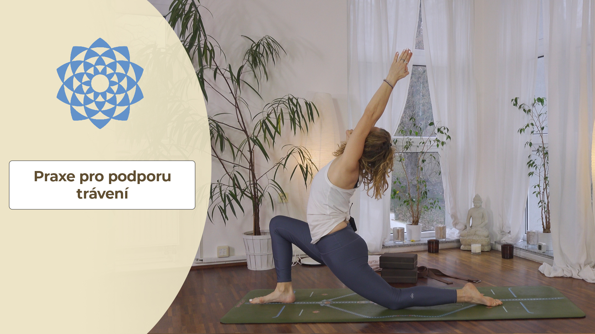 Praxe pro podporu trávení