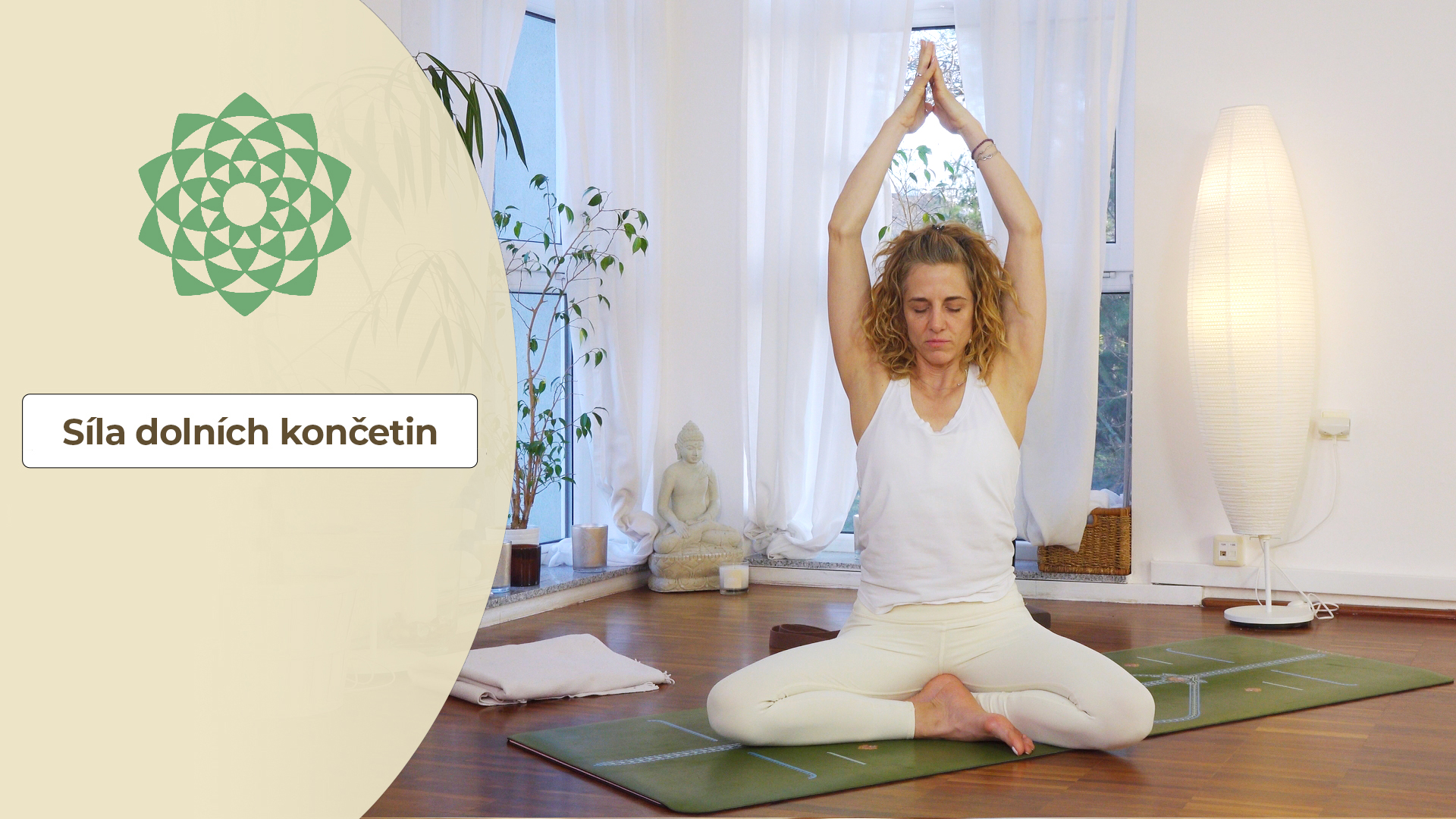 Síla dolních končetin